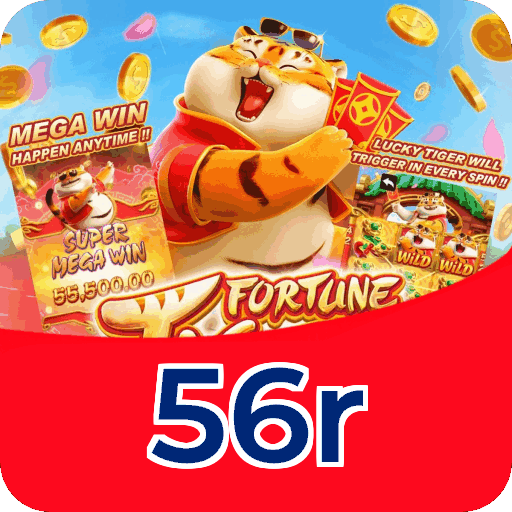 Termos e Condições Transparentes 56r